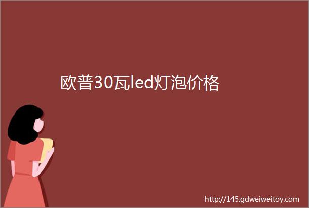 欧普30瓦led灯泡价格